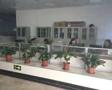 茄子视频下载安装官方下载展示